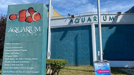 Aquarium of Niagara