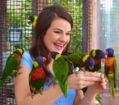 Bird Kingdom